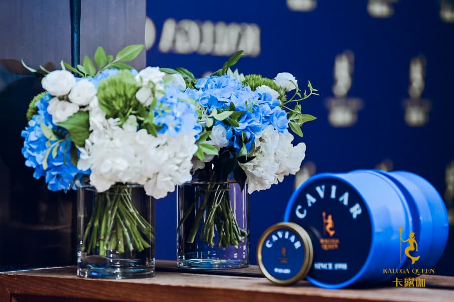 photo - 2025-06-12T114711